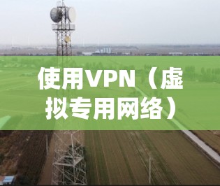 使用VPN（虚拟专用网络）可以帮助你加密网络连接、保护隐私、绕过地域限制等。以下是详细的使用步骤和注意事项