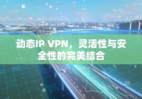 动态IP VPN，灵活性与安全性的完美结合